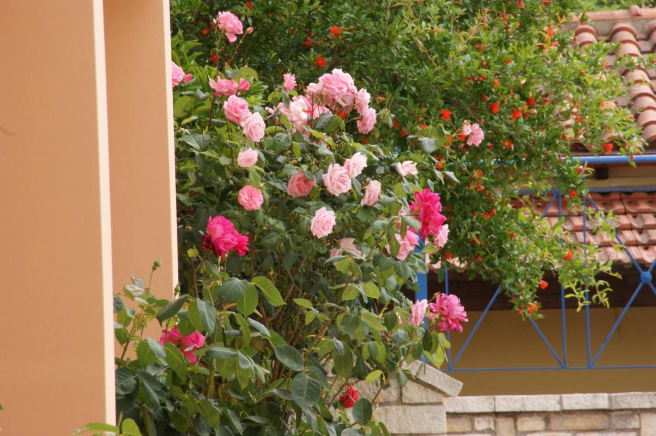 Barbati View Luxury Apartments מראה חיצוני תמונה